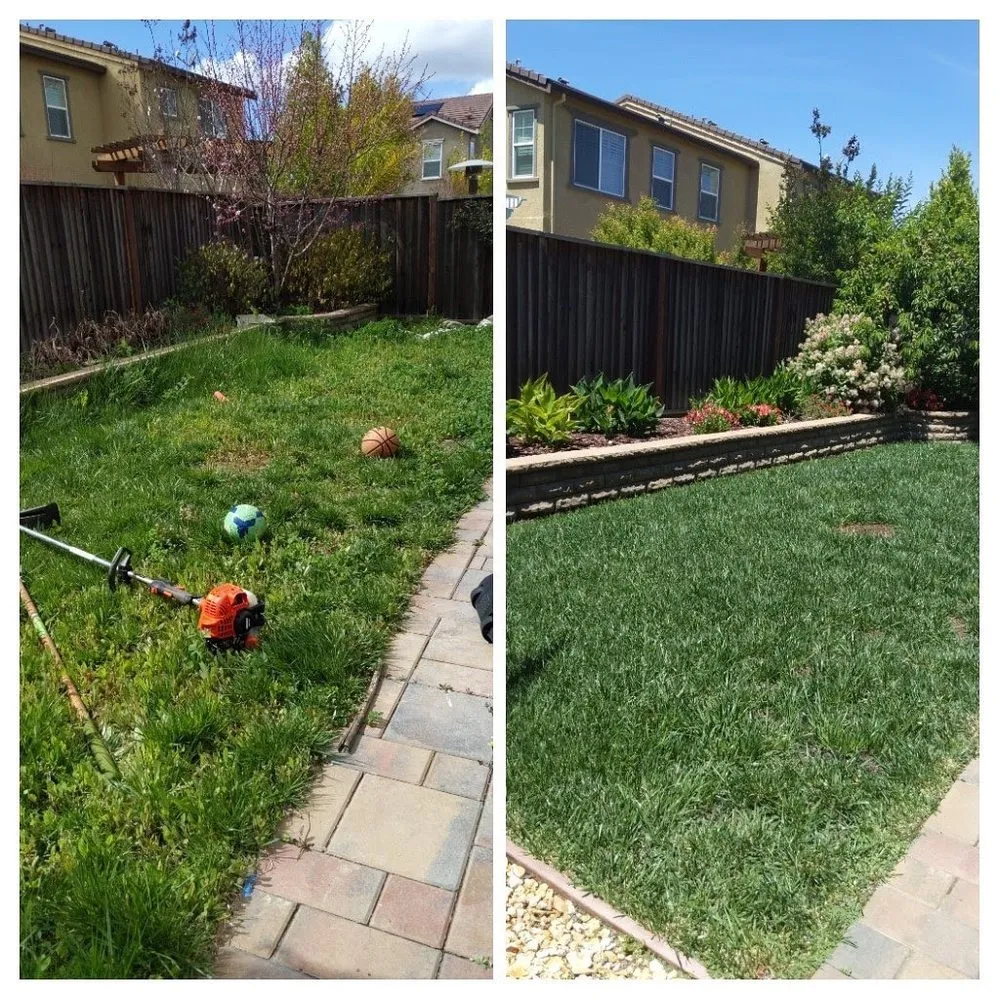 Affordable residential landscaping in Morgan Hill, CA - Alejandro Ibanez Landscaping Service