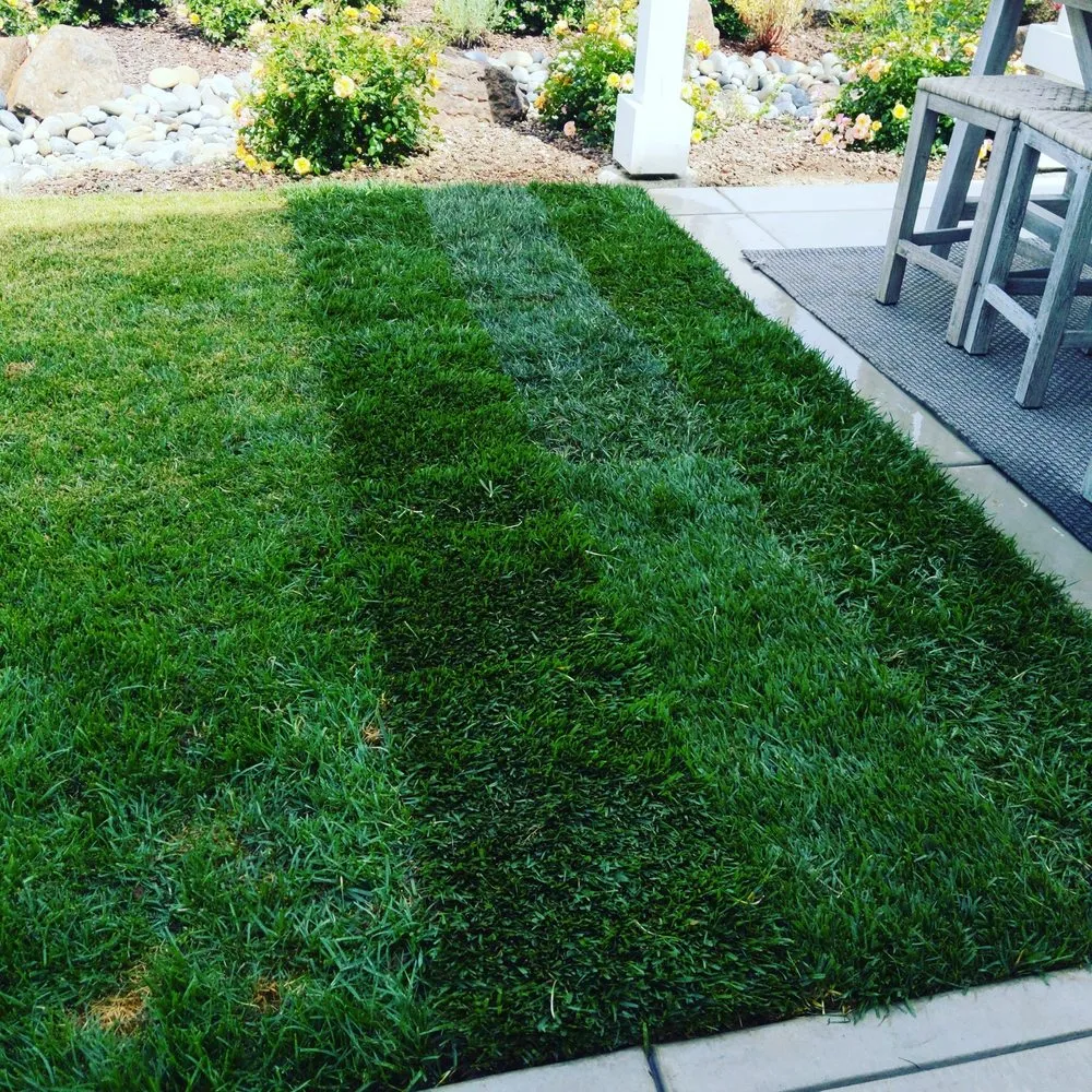 Top-rated landscape installation in Morgan Hill, CA - Alejandro Ibanez Landscaping Service