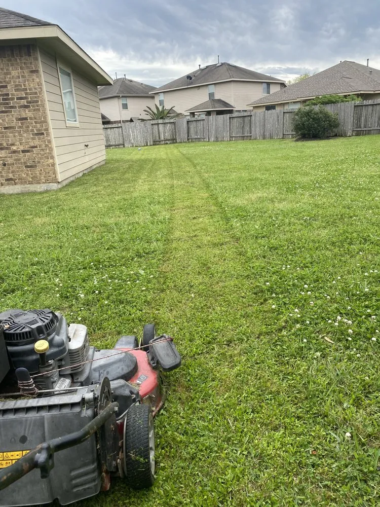 Top-rated garden landscaping in South Houston, TX - Alejandro Landscapes