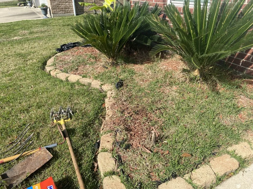 Affordable yard cleanup service near you in South Houston, TX by Alejandro Landscapes