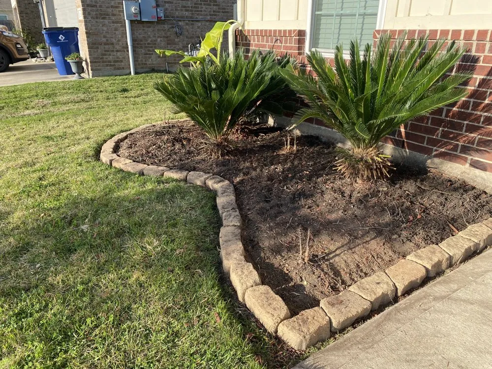 Custom outdoor landscaping in South Houston, TX by Alejandro Landscapes