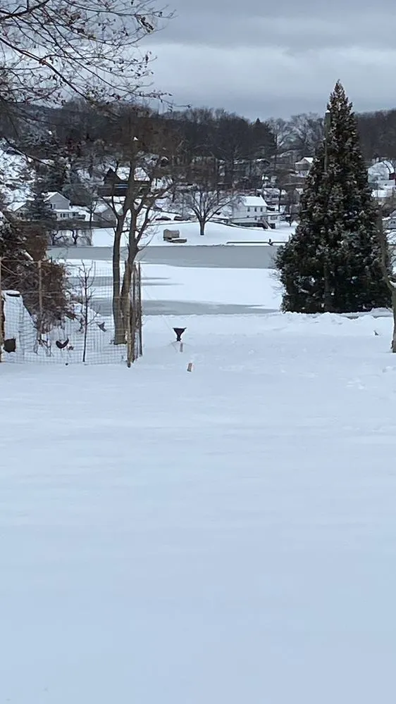 Trusted lawn care service for year-round maintenance in Peekskill, NY by Alejandro Landscaping & Tree Service