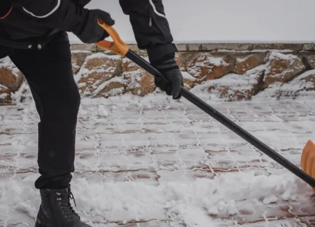 Expert outdoor landscaping for year-round maintenance in Peekskill, NY by Alejandro Landscaping & Tree Service