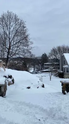 Alejandro Landscaping & Tree Service