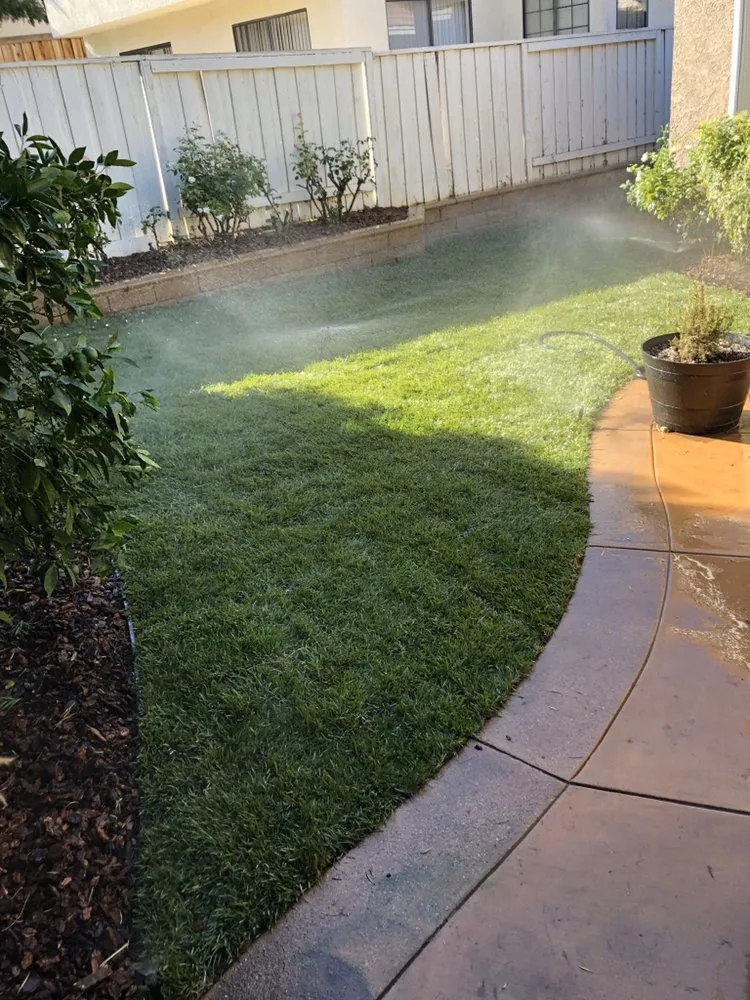 Top-rated landscaping services experts serving Los Angeles, CA - Alejandro