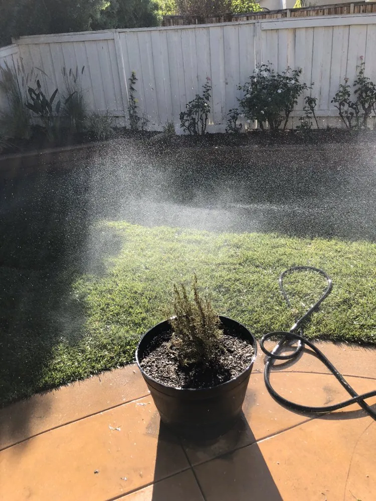 Affordable landscaping services experts serving Los Angeles, CA - Alejandro