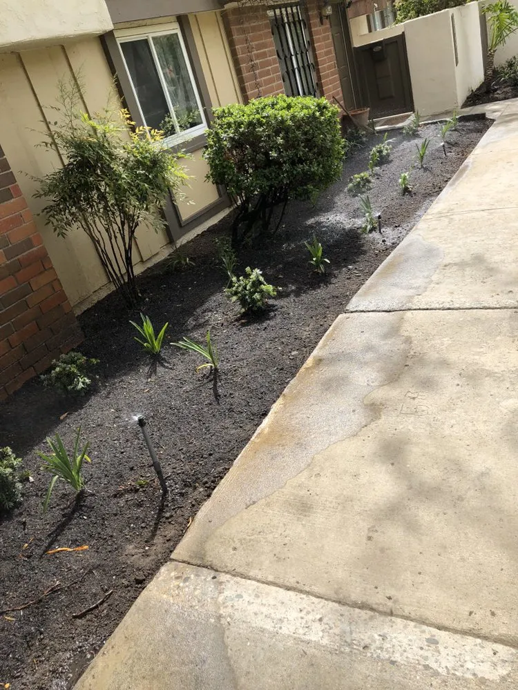 Expert landscaping services experts serving Los Angeles, CA - Alejandro