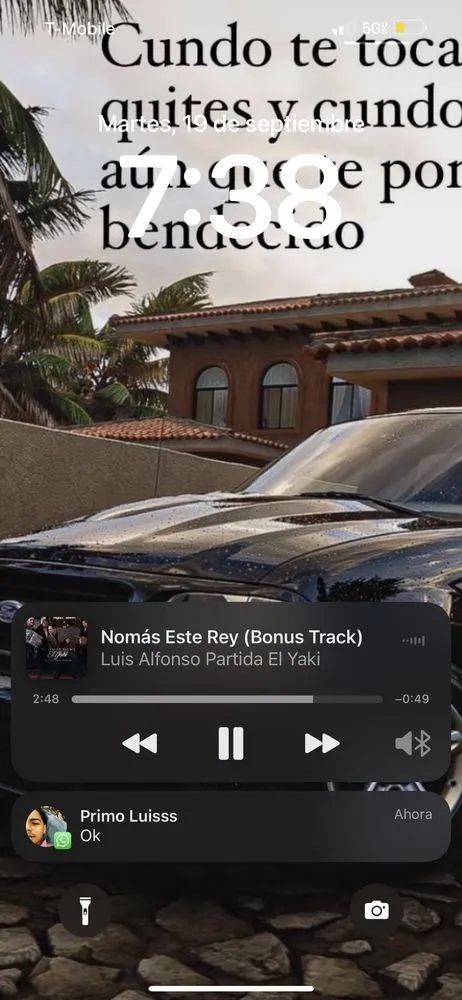 Trusted outdoor landscaping for year-round maintenance in Redwood City, CA by Alejandro’s Garden And Landscaping