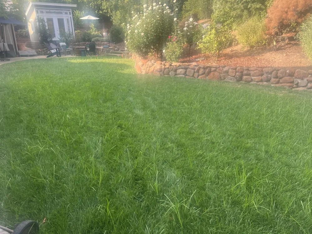 Professional lawn care service for homes across Redwood City, CA - Alejandro’s Garden And Landscaping