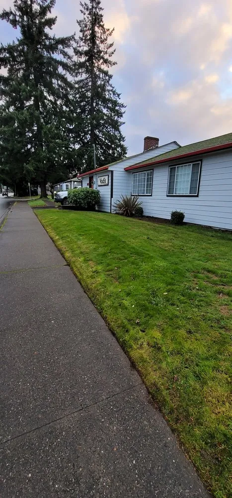 Trusted landscape design for beautiful yards across Elma, WA - Alejandro's Landscaping