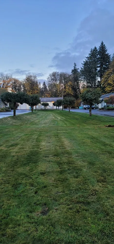 Local lawn care service for outdoor upgrades across Elma, WA - Alejandro's Landscaping