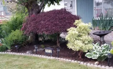 Reliable outdoor landscaping experts serving Elma, WA - Alejandro's Landscaping