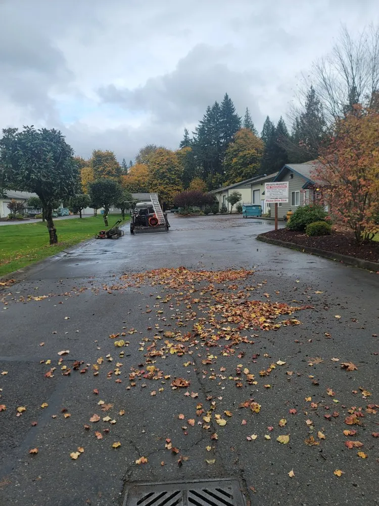 Custom lawn mowing service experts serving Elma, WA - Alejandro's Landscaping