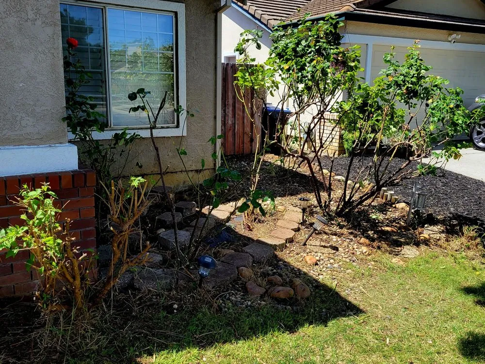 Top-rated outdoor landscaping with custom design in Fairfield, CA by Alejandro’s Landscaping