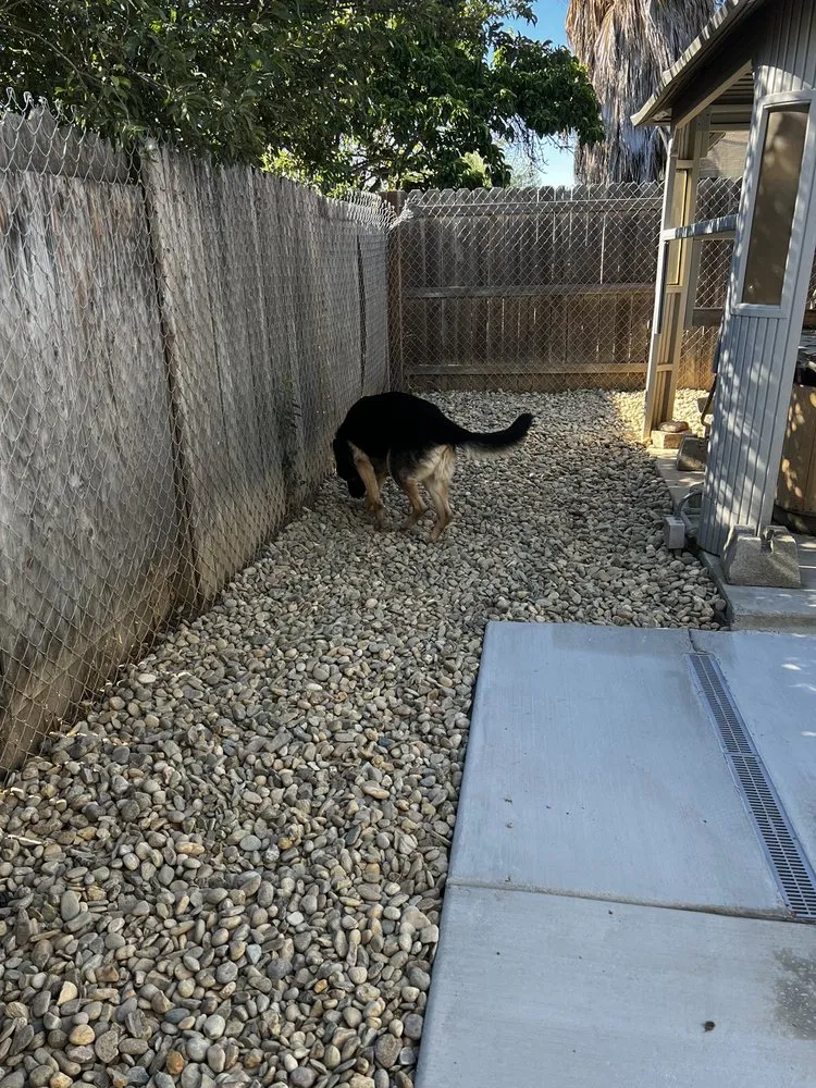 Reliable landscape installation in Fairfield, CA by Alejandro’s Landscaping
