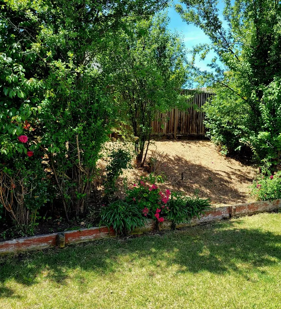 Local yard maintenance for year-round maintenance across Fairfield, CA - Alejandro’s Landscaping