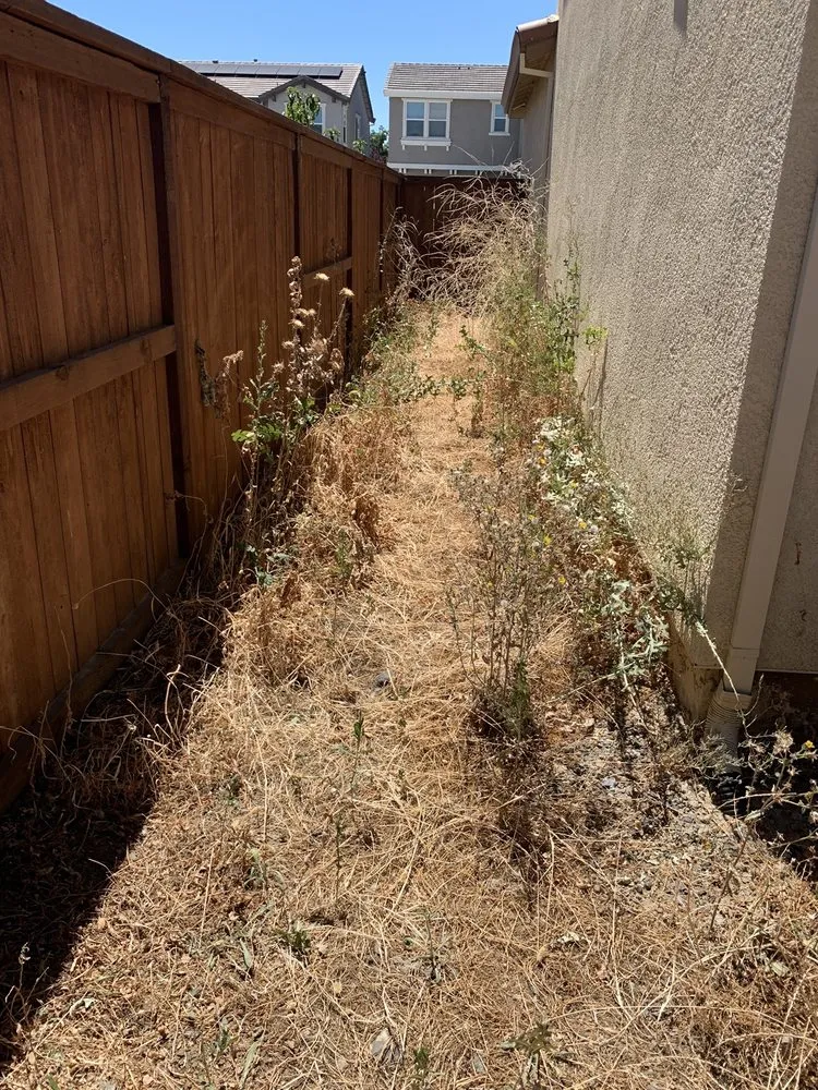 Expert garden landscaping with custom design across Fairfield, CA - Alejandro’s Landscaping