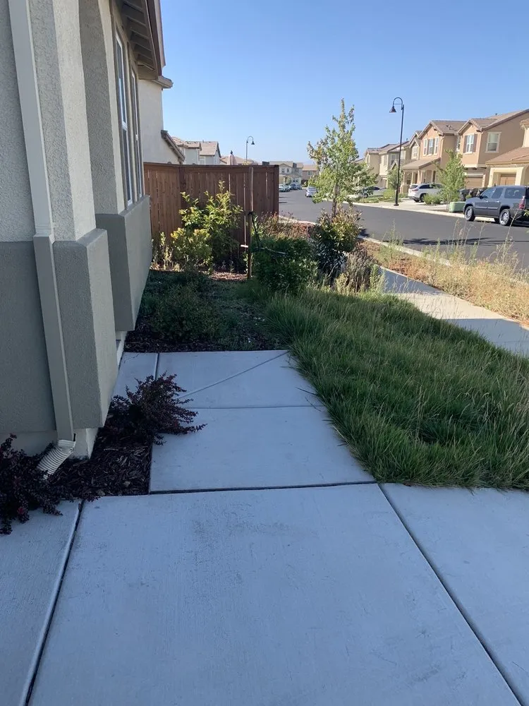 Reliable lawn mowing service in Fairfield, CA by Alejandro’s Landscaping