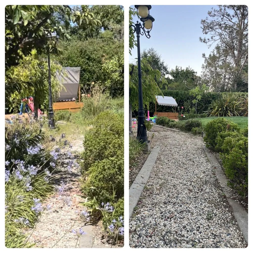 Affordable landscape installation for homes across Fairfield, CA - Alejandro’s Landscaping