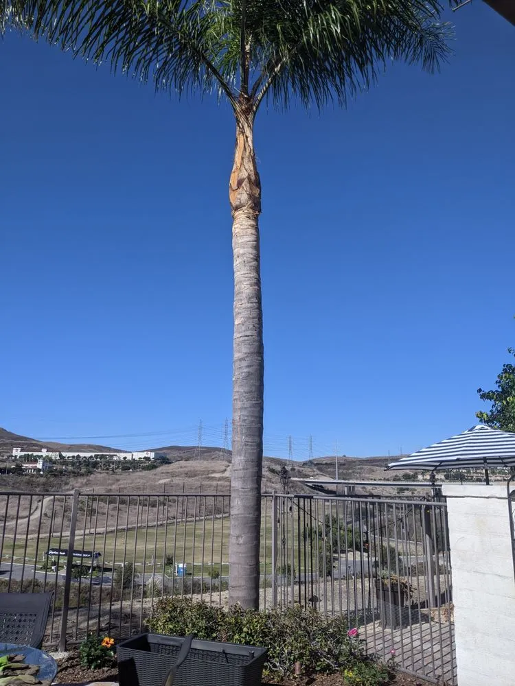 Trusted outdoor landscaping in San Juan Capistrano, CA - Alejandro's Landscaping