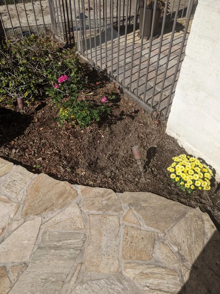 Custom lawn care service with custom design in San Juan Capistrano, CA by Alejandro's Landscaping