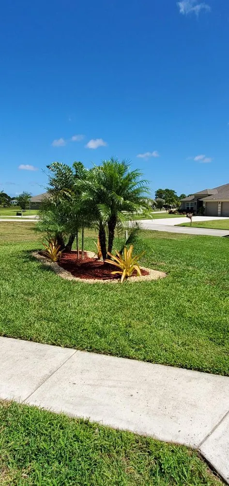 Expert yard maintenance in Stuart, FL by Alejandro's Lawn & Tree Maintenance Llc