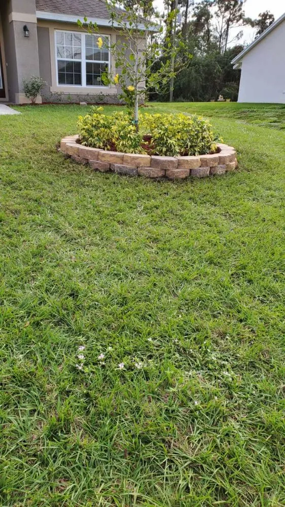 Reliable outdoor landscaping in Stuart, FL by Alejandro's Lawn & Tree Maintenance Llc