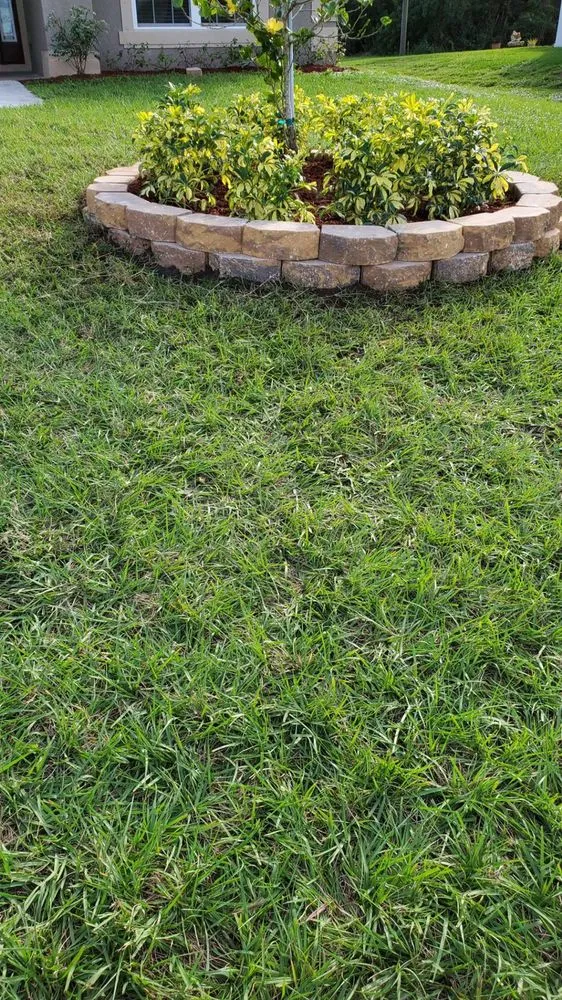 Affordable outdoor landscaping for year-round maintenance in Stuart, FL by Alejandro's Lawn & Tree Maintenance Llc