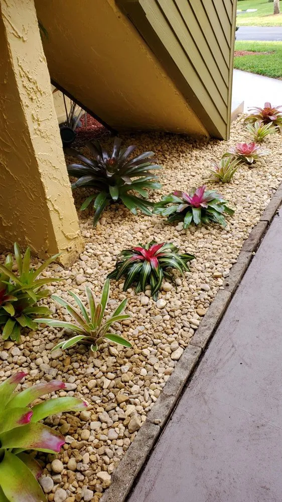 Custom outdoor landscaping experts serving Stuart, FL - Alejandro's Lawn & Tree Maintenance Llc