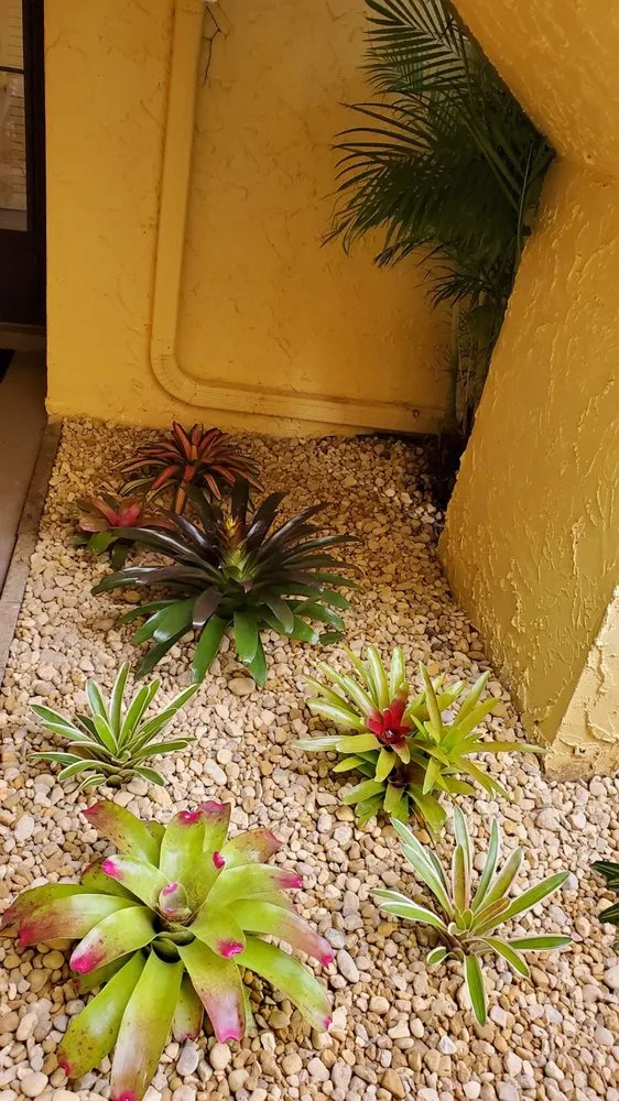 Reliable yard cleanup service in Stuart, FL by Alejandro's Lawn & Tree Maintenance Llc