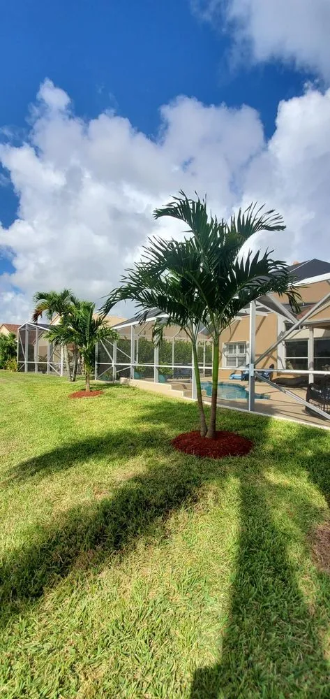 Top-rated residential landscaping for beautiful yards across Stuart, FL - Alejandro's Lawn & Tree Maintenance Llc