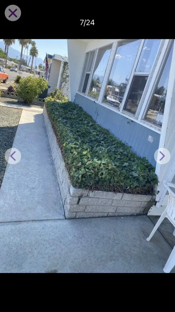 Affordable landscape installation in Wildomar, CA - Alejandro’s Lawn Service