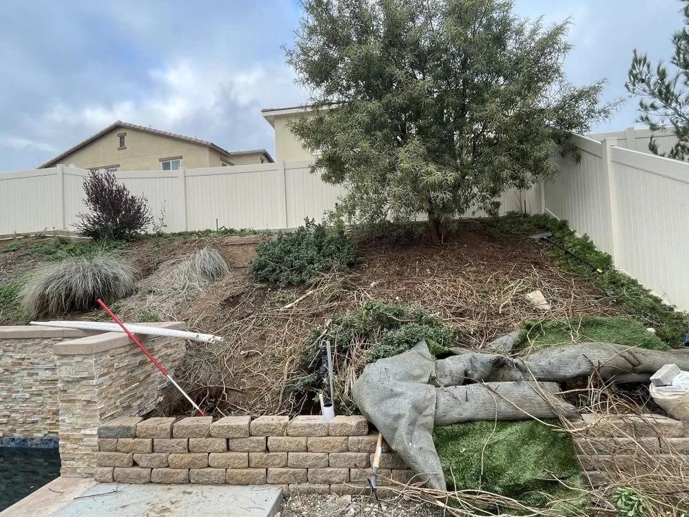 Expert yard maintenance for residential properties across Wildomar, CA - Alejandro’s Lawn Service