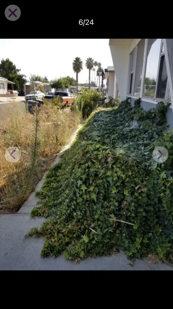 Local yard cleanup service for homes in Wildomar, CA by Alejandro’s Lawn Service