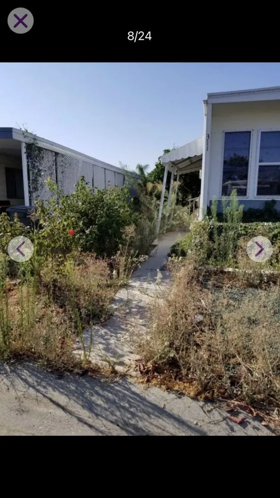 Expert yard cleanup service with custom design across Wildomar, CA - Alejandro’s Lawn Service