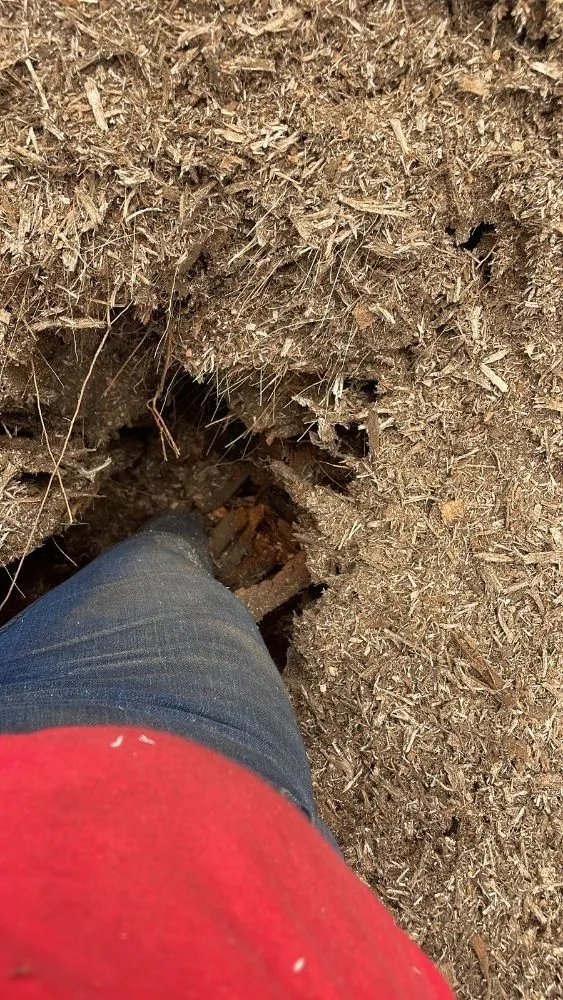 Local residential landscaping for homes across North Providence, RI - Alejandro's Tree Services