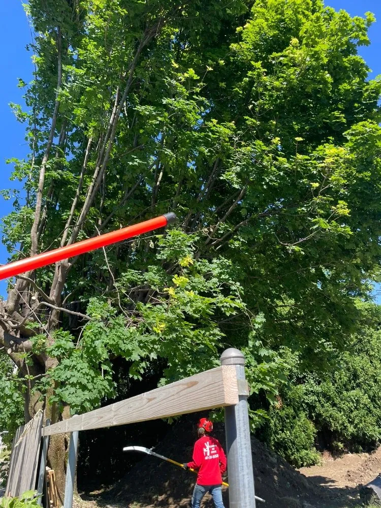 Trusted outdoor landscaping for beautiful yards across North Providence, RI - Alejandro's Tree Services