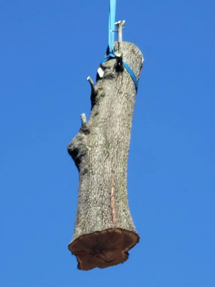 Top-rated outdoor landscaping for outdoor upgrades across North Providence, RI - Alejandro's Tree Services