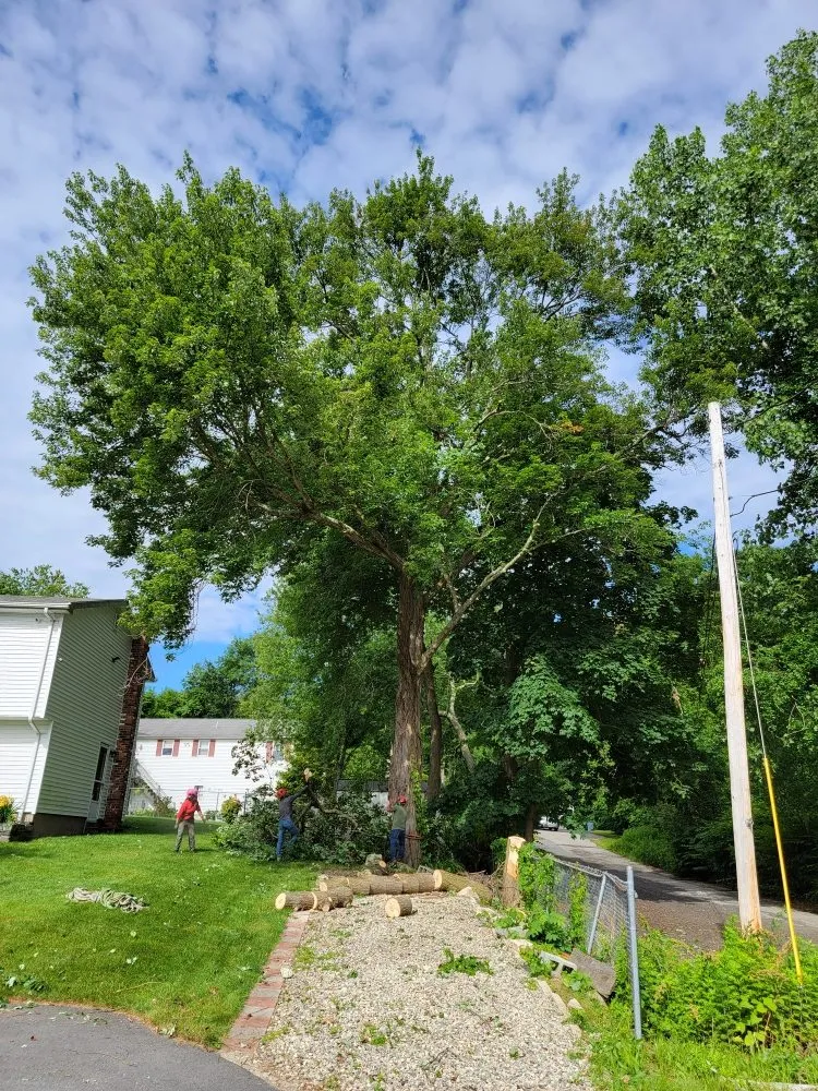 Expert landscape installation in North Providence, RI by Alejandro's Tree Services
