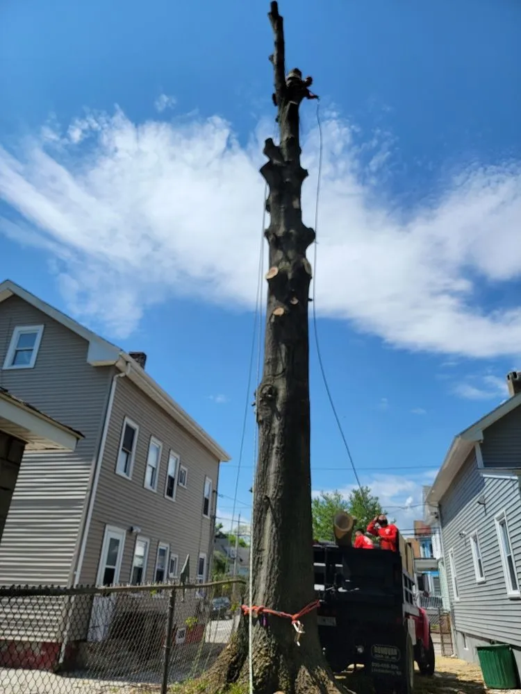 Affordable garden landscaping in North Providence, RI by Alejandro's Tree Services