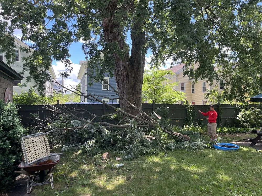 Affordable outdoor landscaping for year-round maintenance across North Providence, RI - Alejandro's Tree Services