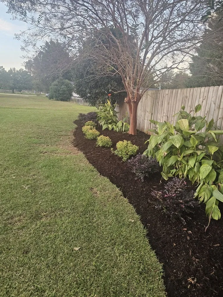 Professional yard cleanup service experts serving Broadway, NC - Aleman Landscaping