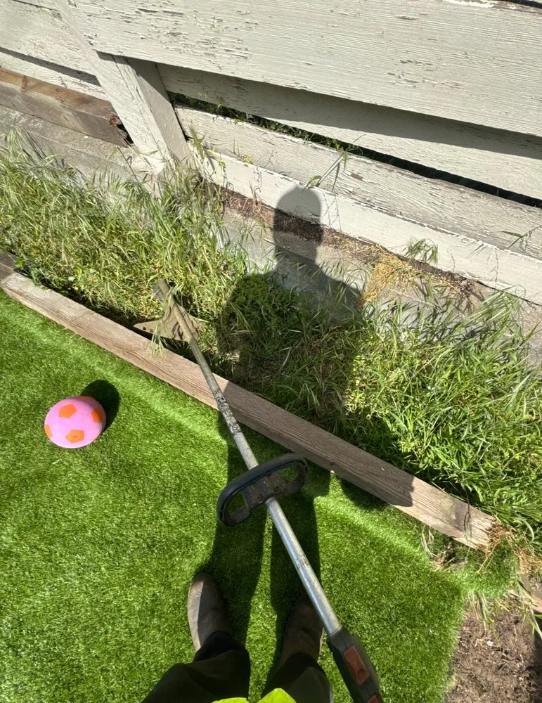 Affordable residential landscaping in Seaside, CA by Aleman Lawn