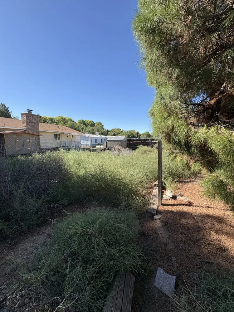 Top-rated lawn mowing service in Lake Montezuma, AZ - Alert Landscape