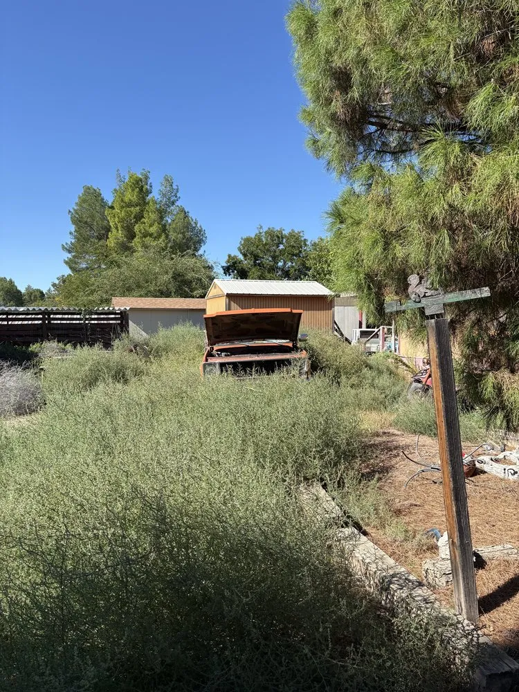 Trusted residential landscaping in Lake Montezuma, AZ - Alert Landscape