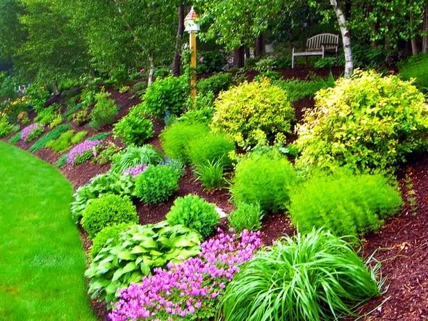 Trusted lawn care service experts serving Oceanside, NY - Alessandro's Landscaping & Design