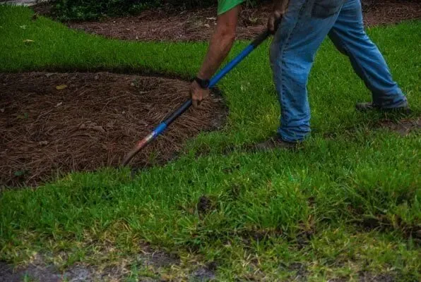 Custom landscaping services in Miami, FL - Alevon Green