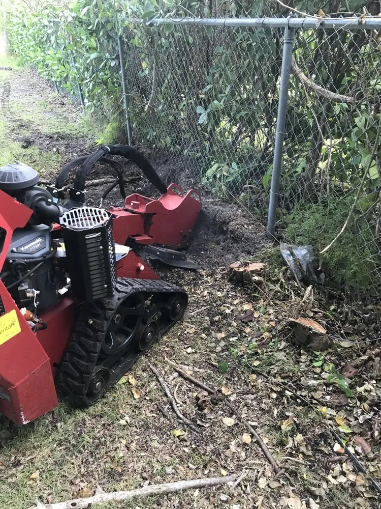Custom outdoor landscaping for year-round maintenance in Miami, FL by Alevon Green