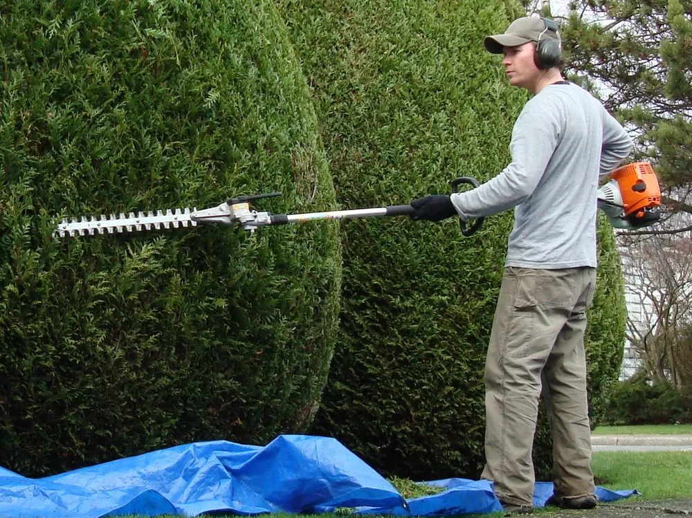 Trusted lawn care service in Miami, FL by Alevon Group