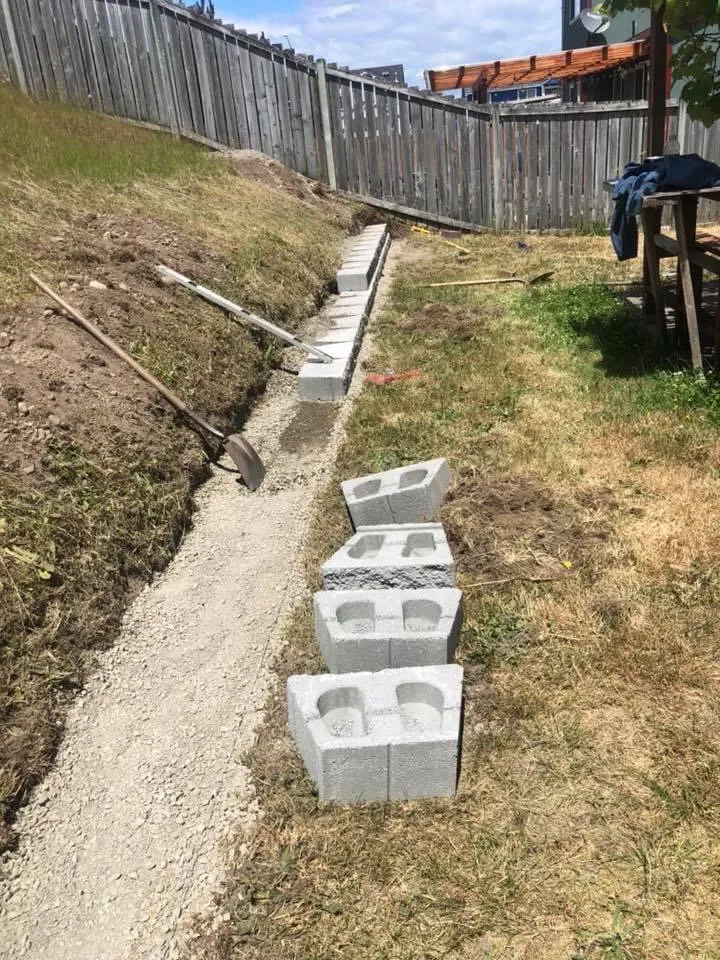 Affordable lawn mowing service in Lacey, WA - Alevyga